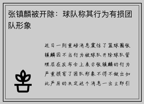 张镇麟被开除：球队称其行为有损团队形象